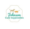 Johnson Cute Toy Poodles